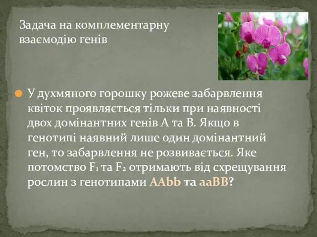 Задача на комплементарну взаємодію генів У духмяного горошку рожеве забарвлення