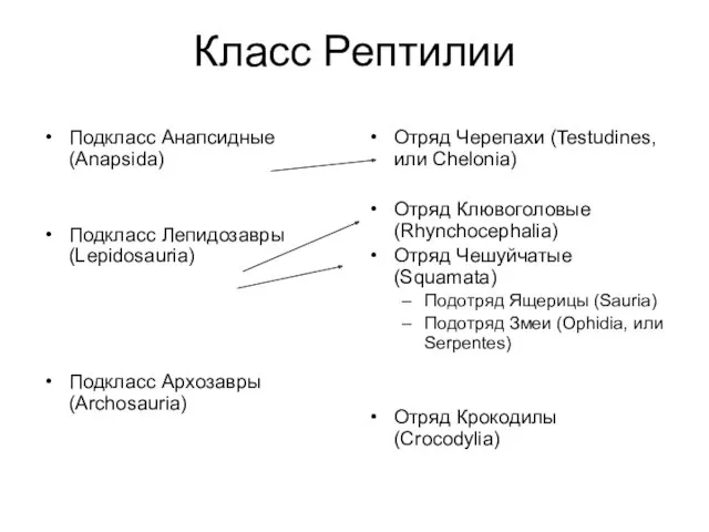 Класс Рептилии Подкласс Анапсидные (Anapsida) Подкласс Лепидозавры (Lepidosauria) Подкласс Архозавры