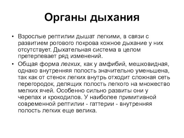 Органы дыхания Взрослые рептилии дышат легкими, в связи с развитием