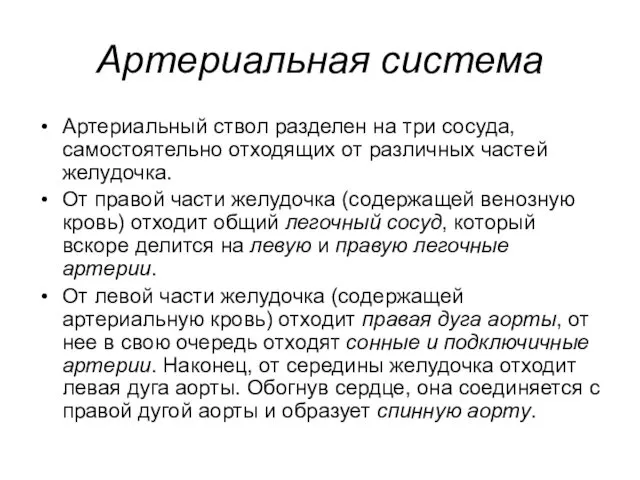 Артериальная система Артериальный ствол разделен на три сосуда, самостоятельно отходящих