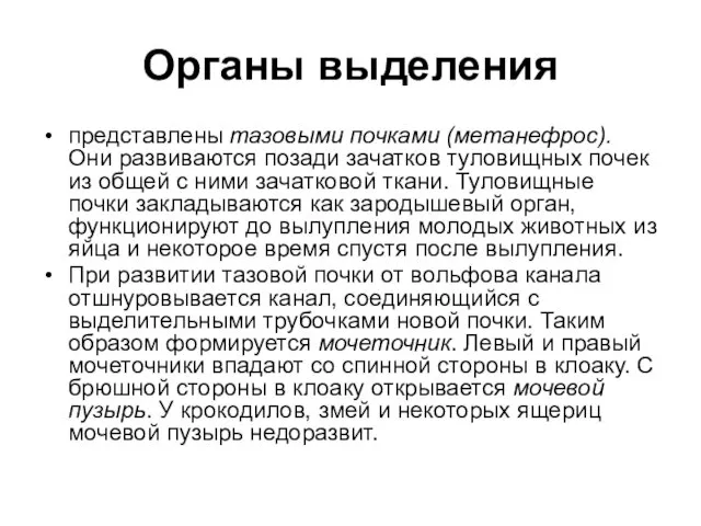 Органы выделения представлены тазовыми почками (метанефрос). Они развиваются позади зачатков