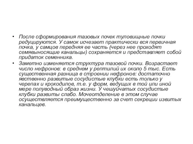 После сформирования тазовых почек туловищные почки редуцируются. У самок исчезает