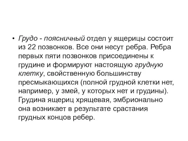 Грудо - поясничный отдел у ящерицы состоит из 22 позвонков.