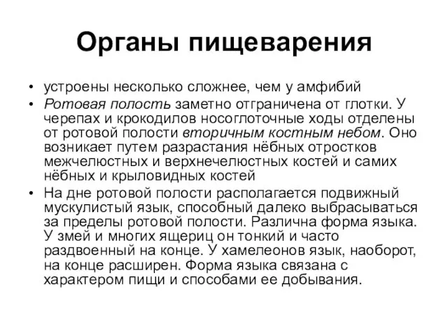 Органы пищеварения устроены несколько сложнее, чем у амфибий Ротовая полость