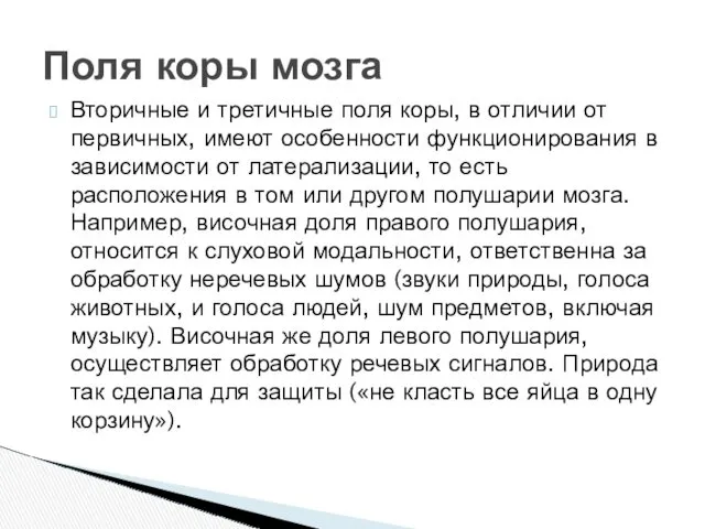 Вторичные и третичные поля коры, в отличии от первичных, имеют особенности функционирования в