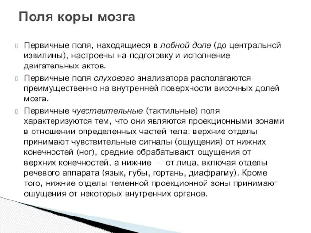 Первичные поля, находящиеся в лобной доле (до центральной извилины), настроены