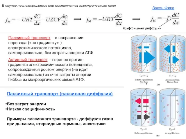 Пассивный транспорт – в направлении перепада («по градиенту» ) электрохимического