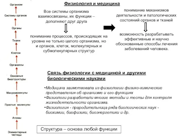 Физиология и медицина понимание механизмов деятельности и патологических состояний органов и тканей возможность