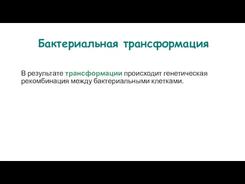 Бактериальная трансформация В результате трансформации происходит генетическая рекомбинация между бактериальными клетками.