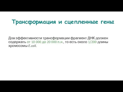 Трансформация и сцепленные гены Для эффективности трансформации фрагмент ДНК должен