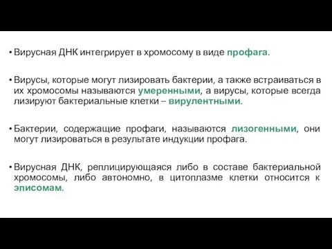 Вирусная ДНК интегрирует в хромосому в виде профага. Вирусы, которые