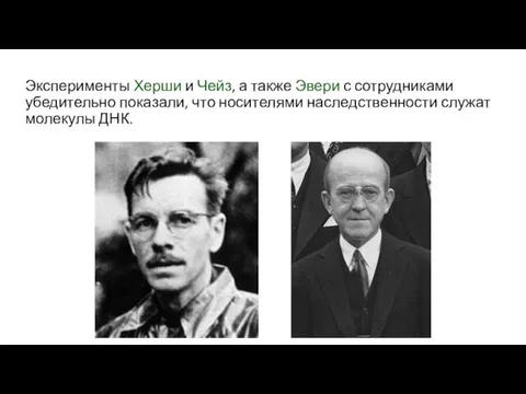 Эксперименты Херши и Чейз, а также Эвери с сотрудниками убедительно