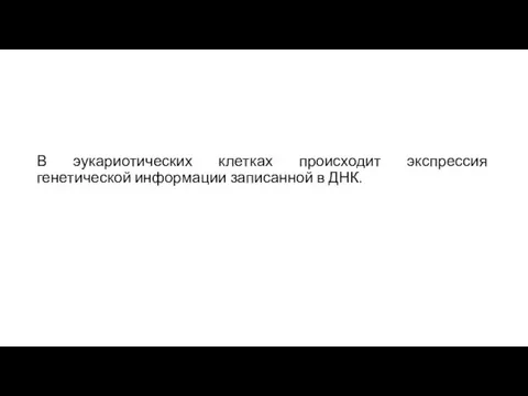 В эукариотических клетках происходит экспрессия генетической информации записанной в ДНК.