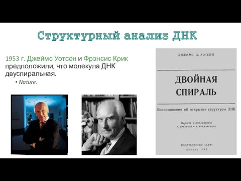 Структурный анализ ДНК 1953 г. Джеймс Уотсон и Фрэнсис Крик предположили, что молекула ДНК двуспиральная. Nature.