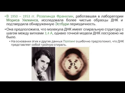 В 1950 – 1953 гг. Розалинда Франклин, работавшая в лаборатории