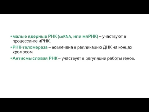 малые ядерные РНК (snRNA, или мяРНК) – участвуют в процессинге