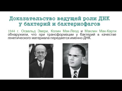 Доказательство ведущей роли ДНК у бактерий и бактериофагов 1944 г.