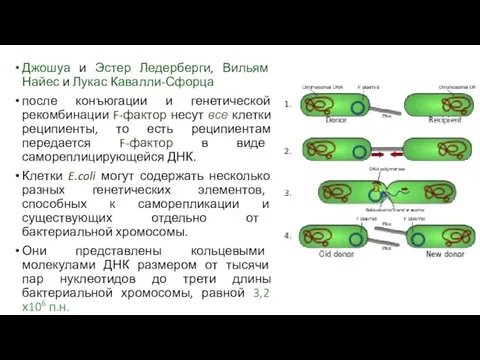 Джошуа и Эстер Ледерберги, Вильям Найес и Лукас Кавалли-Сфорца после