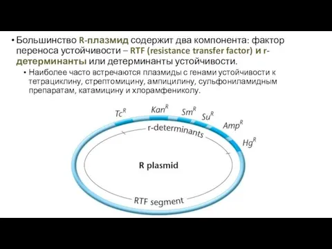 Большинство R-плазмид содержит два компонента: фактор переноса устойчивости – RTF