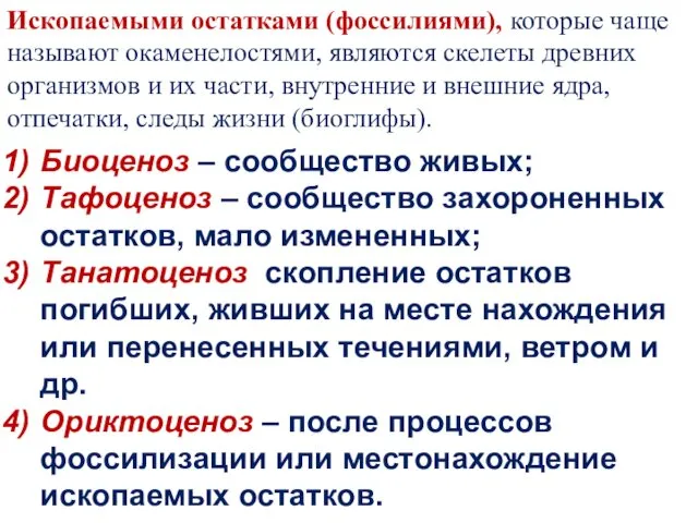 Ископаемыми остатками (фоссилиями), которые чаще называют окаменелостями, являются скелеты древних