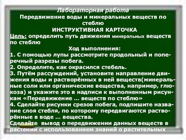 Лабораторная работа Передвижение воды и минеральных веществ по стеблю ИНСТРУКТИВНАЯ