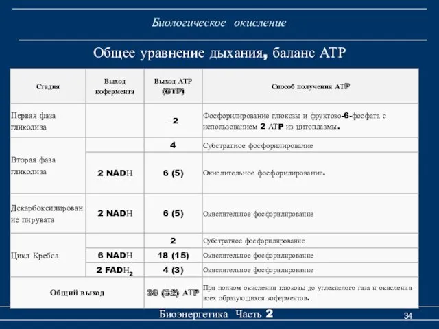 Биологическое окисление Биоэнергетика Часть 2 Общее уравнение дыхания, баланс АТР