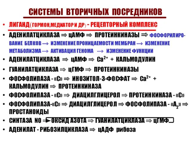 СИСТЕМЫ ВТОРИЧНЫХ ПОСРЕДНИКОВ ЛИГАНД(ГОРМОН,МЕДИАТОР И ДР) - РЕЦЕПТОРНЫЙ КОМПЛЕКС АДЕНИЛАТЦИКЛАЗА ⇒ цАМФ ⇒