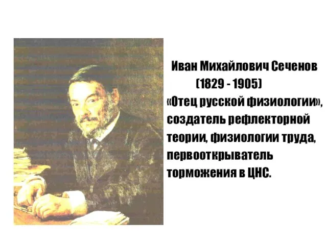 Иван Михайлович Сеченов (1829 - 1905) «Отец русской физиологии», создатель рефлекторной теории, физиологии