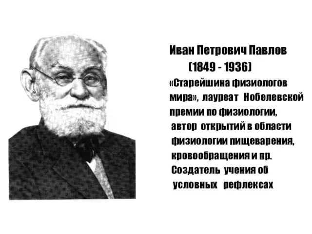 Иван Петрович Павлов (1849 - 1936) «Старейшина физиологов мира», лауреат Нобелевской премии по