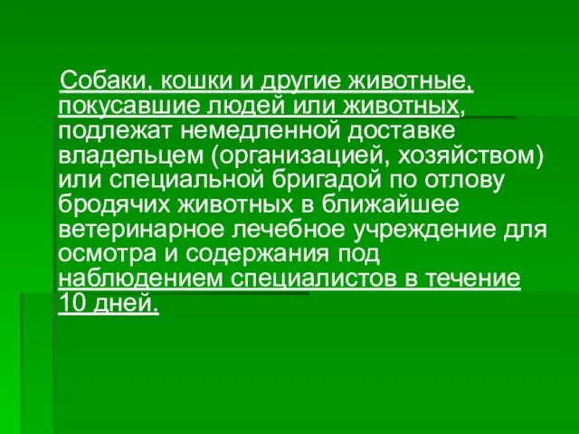 Собаки, кошки и другие животные, покусавшие людей или животных, подлежат