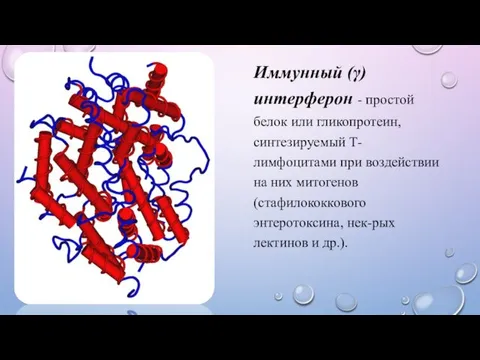 Иммунный (γ) интерферон - простой белок или гликопротеин, синтезируемый Т-лимфоцитами