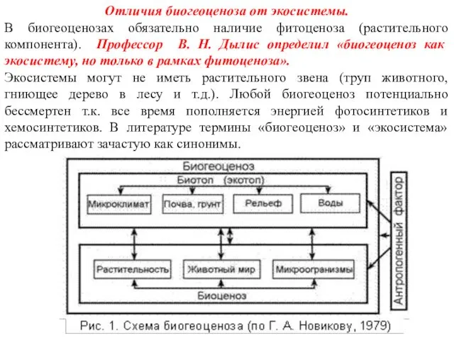 Отличия биогеоценоза от экосистемы. В биогеоценозах обязательно наличие фитоценоза (растительного