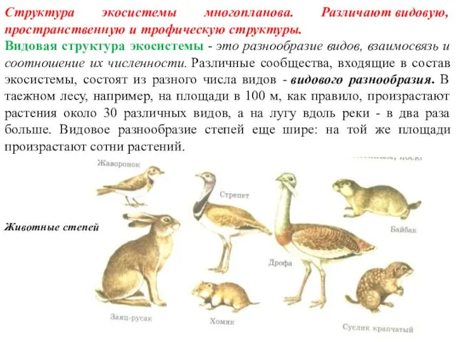 Структура экосистемы многопланова. Различают видовую, пространственную и трофическую структуры. Видовая