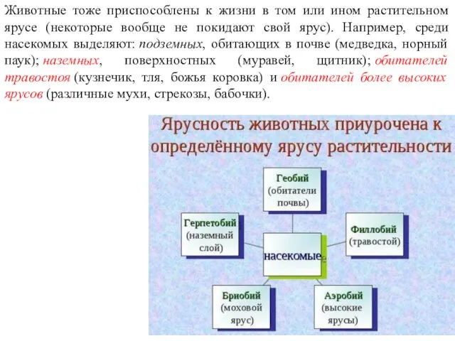 Животные тоже приспособлены к жизни в том или ином растительном