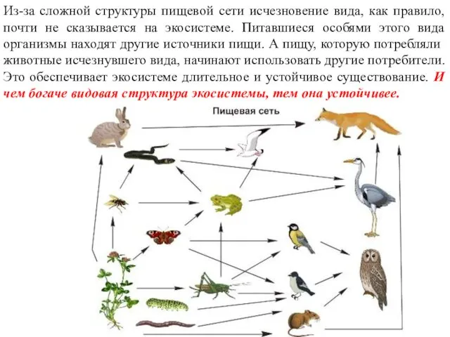 Из-за сложной структуры пищевой сети исчезновение вида, как правило, почти