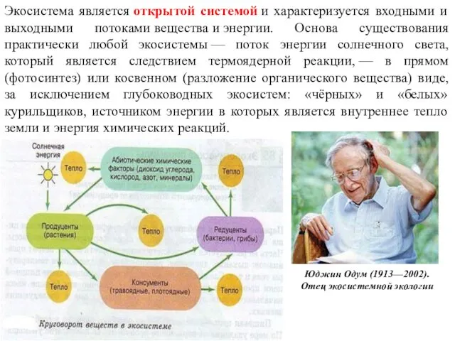 Экосистема является открытой системой и характеризуется входными и выходными потоками