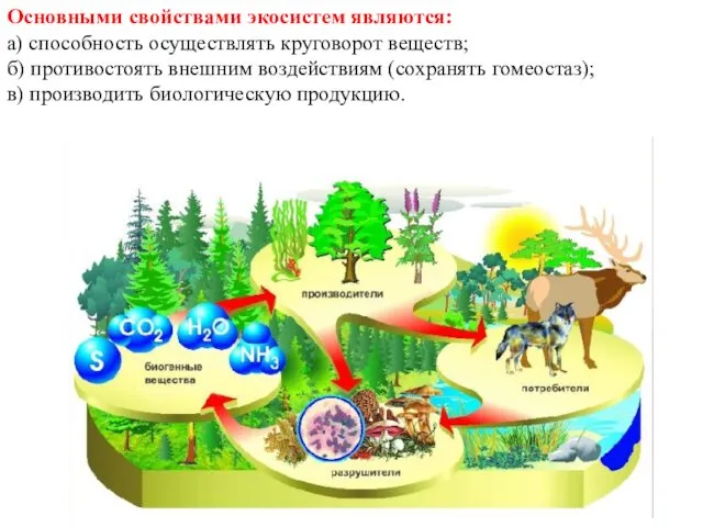 Основными свойствами экосистем являются: а) способность осуществлять круговорот веществ; б)