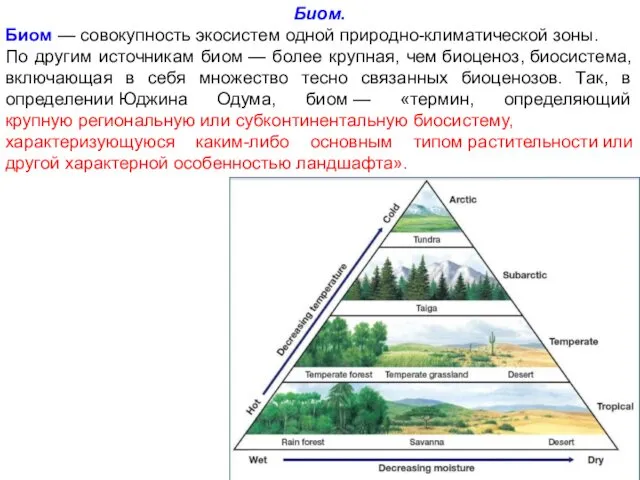 Биом. Биом — совокупность экосистем одной природно-климатической зоны. По другим