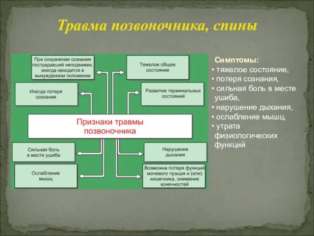 Травма позвоночника, спины Симптомы: тяжелое состояние, потеря сознания, сильная боль