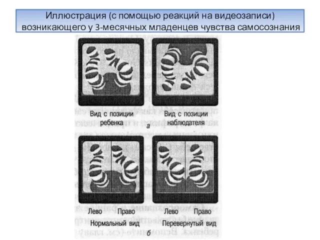 Иллюстрация (с помощью реакций на видеозаписи) возникающего у 3-месячных младенцев чувства самосознания