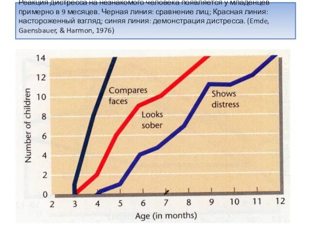 Реакция дистресса на незнакомого человека появляется у младенцев примерно в