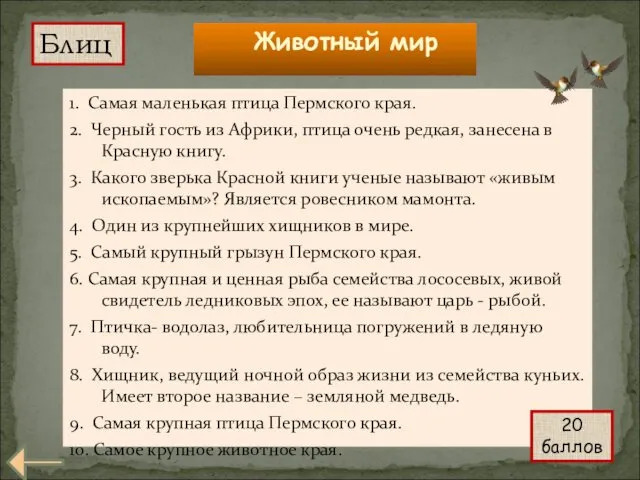 1. Самая маленькая птица Пермского края. 2. Черный гость из Африки, птица очень