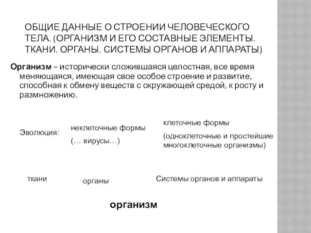 ОБЩИЕ ДАННЫЕ О СТРОЕНИИ ЧЕЛОВЕЧЕСКОГО ТЕЛА. (ОРГАНИЗМ И ЕГО СОСТАВНЫЕ