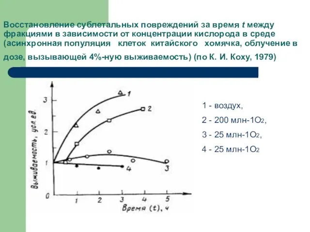 Восстановление сублетальных повреждений за время t между фракциями в зависимости