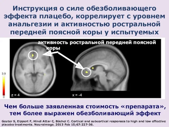 Инструкция о силе обезболивающего эффекта плацебо, коррелирует с уровнем анальгезии