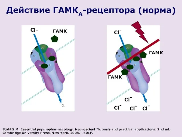 Cl- Cl- ГАМК ГАМК Cl- Cl- Cl- Cl- Действие ГАМКА-рецептора