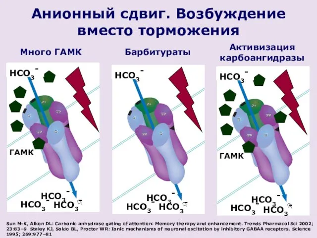 Анионный сдвиг. Возбуждение вместо торможения Sun M-K, Alkon DL: Carbonic