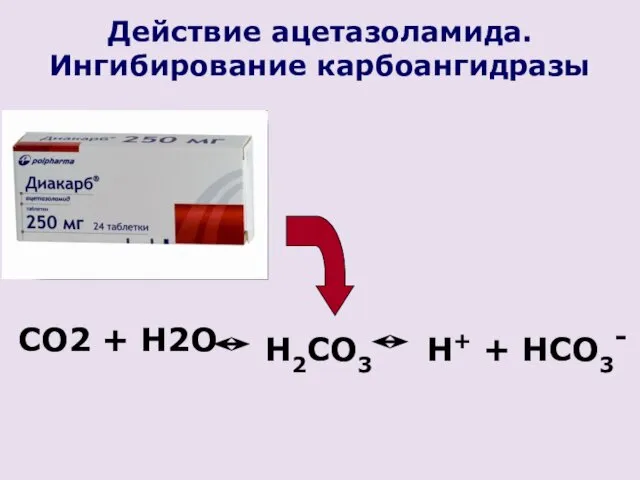 CO2 + H2O Действие ацетазоламида. Ингибирование карбоангидразы H2CO3 H+ + HCO3-