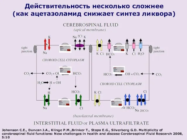 Действительность несколько сложнее (как ацетазоламид снижает синтез ликвора) Johanson C.E.,