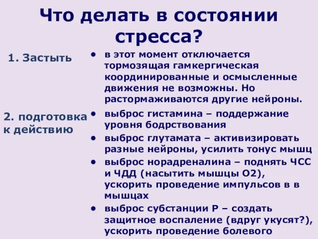 Что делать в состоянии стресса? 1. Застыть в этот момент